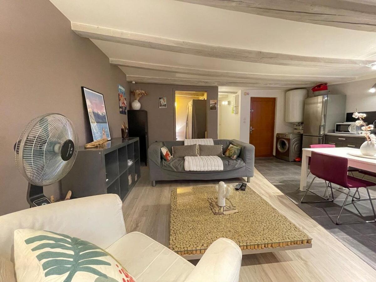 Apartamento Le Plein Air D'Annecy, Proche Gare Exterior foto